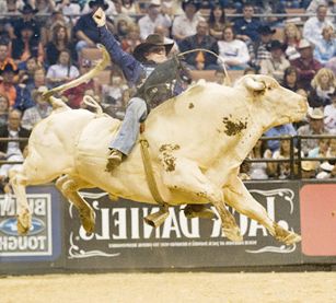 Pbr professional bull riders 